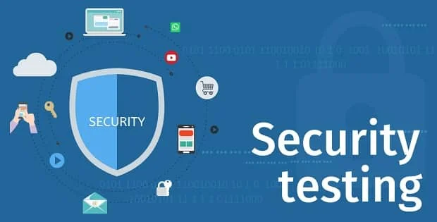 Enterprise Web Application - Security Testing